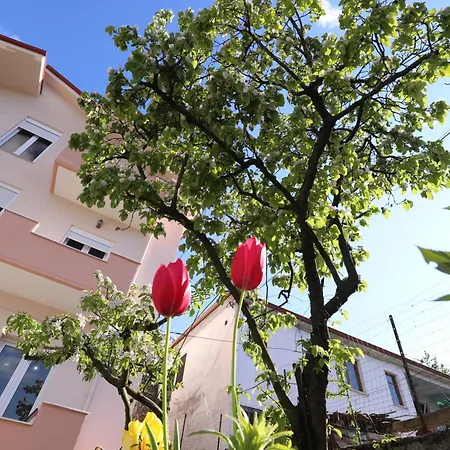 Turka House 3* Piskupat