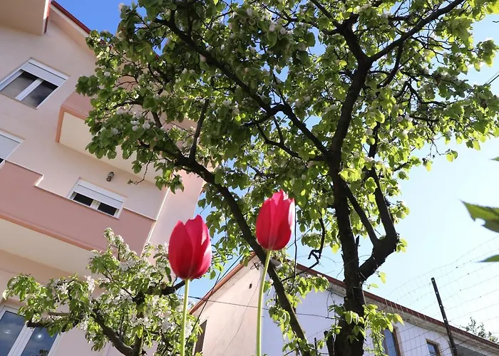 Turka House 3* Piskupat